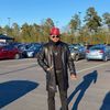 adonis_p